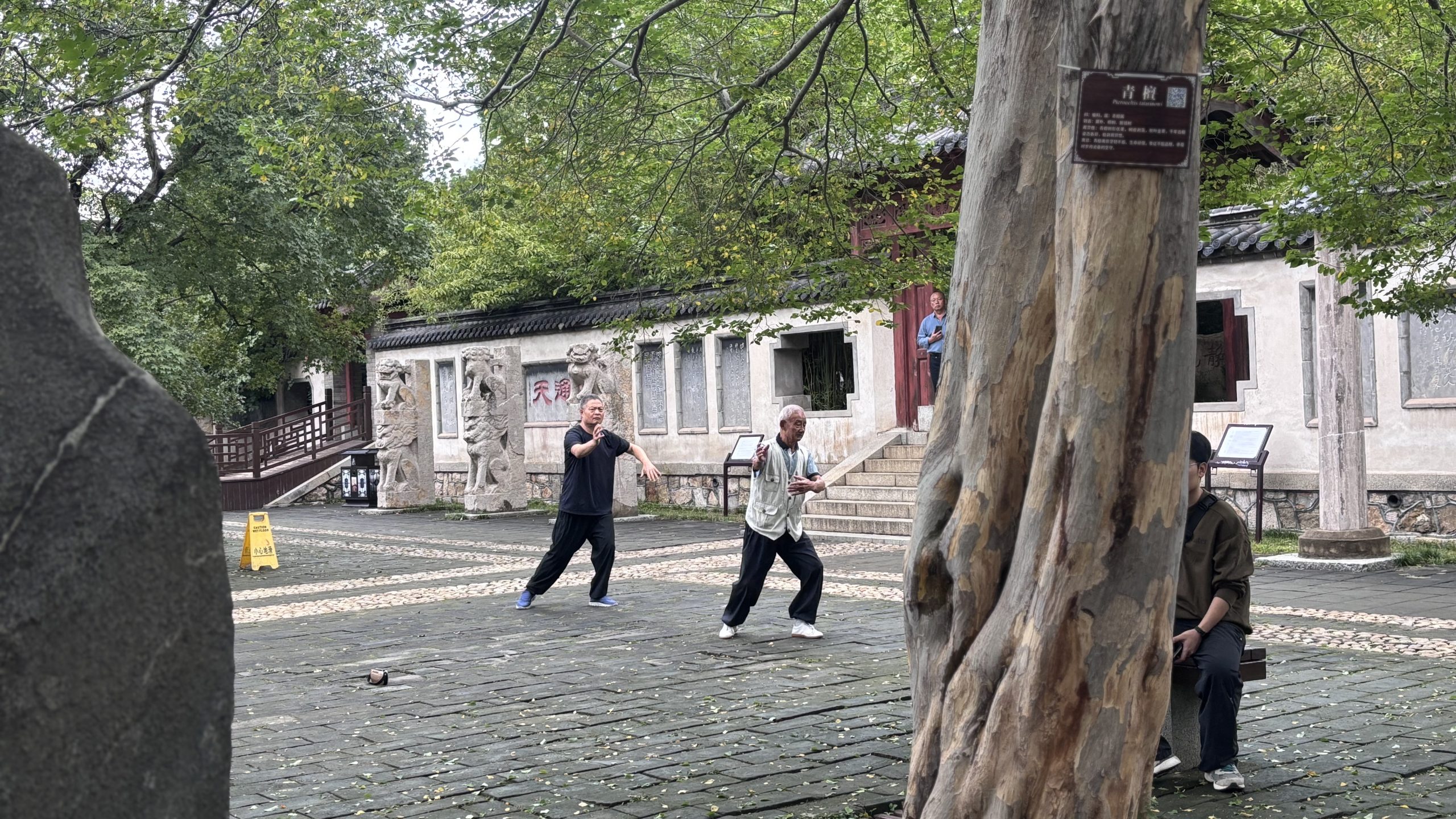 泰安是我的一点偏爱 - 第8张图片 | Yuncong Journal 泰安是我的一点偏爱 - 第8张图片