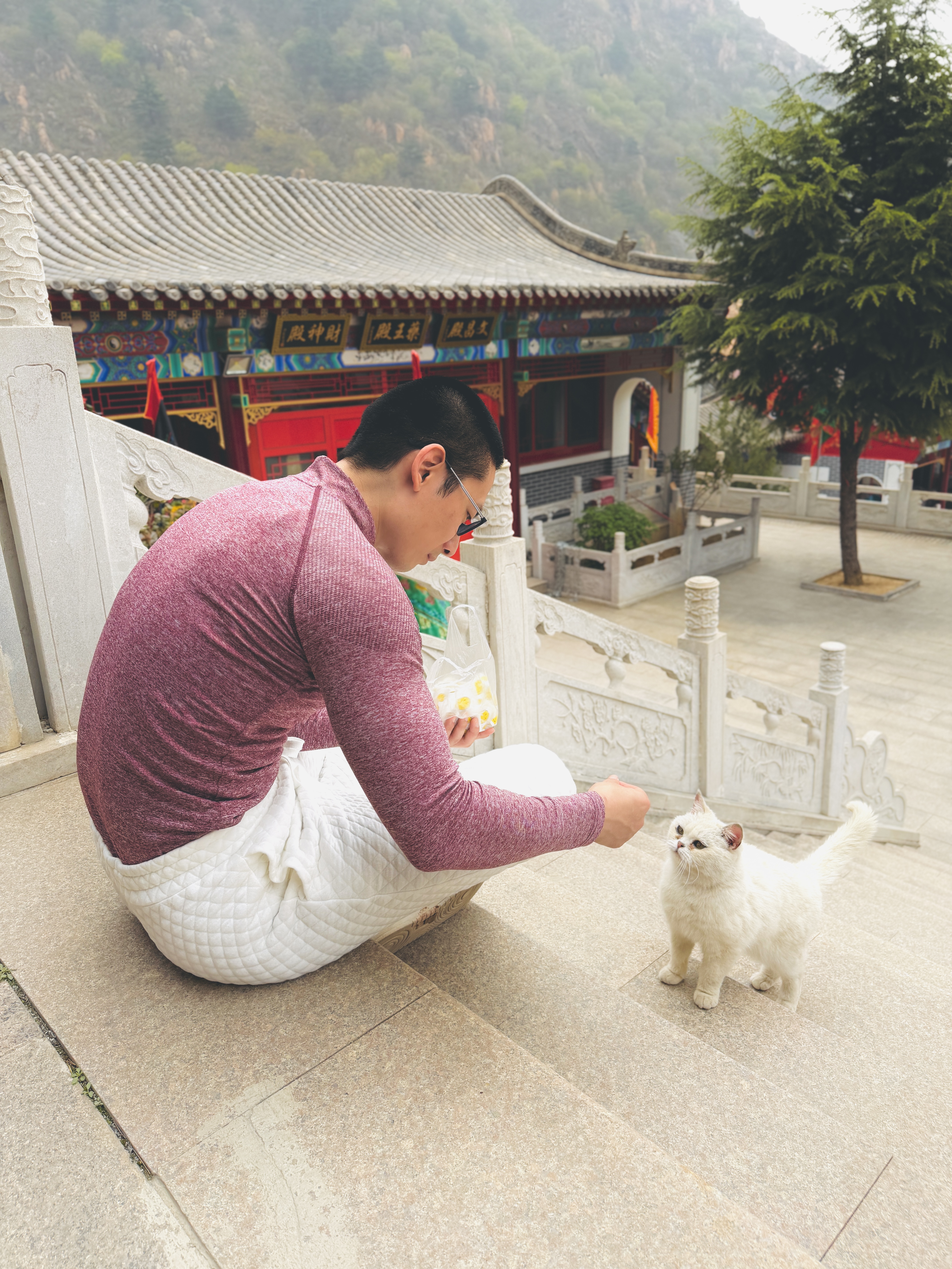 秦皇岛 - 太清宫和法华寺 - 第12张图片 | Yuncong Journal 秦皇岛 - 太清宫和法华寺 - 第12张图片